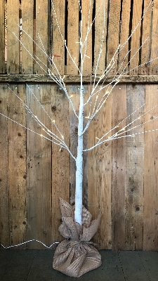 LED White Birch tree