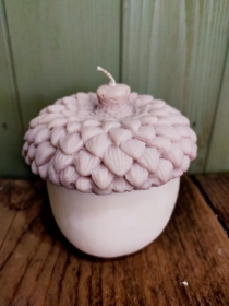 Acorn candle